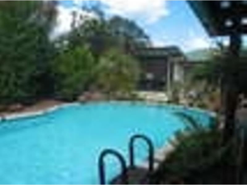 20 Paterson Street, Campbelltown NSW 2560