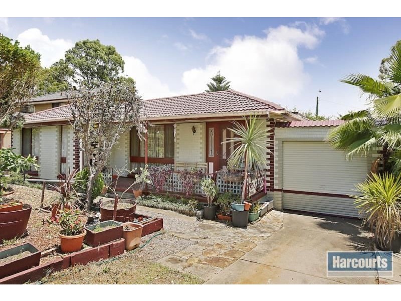 11 Borthwick Street, Minto NSW 2566