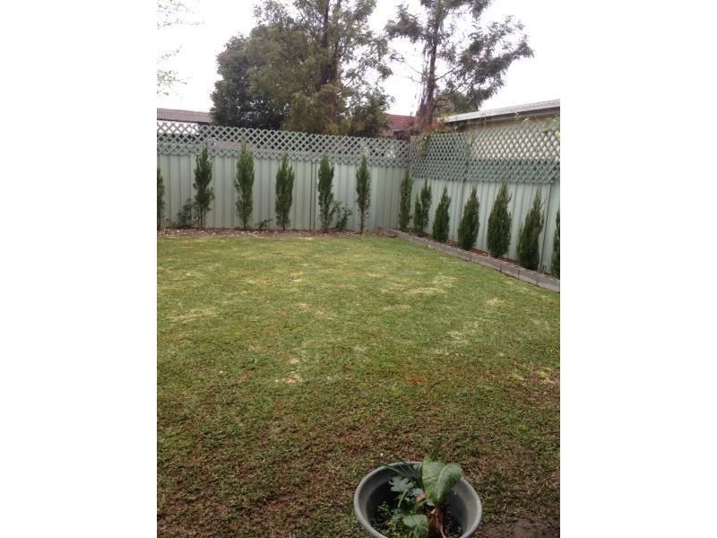14 Phyllis Street, Minto NSW 2566