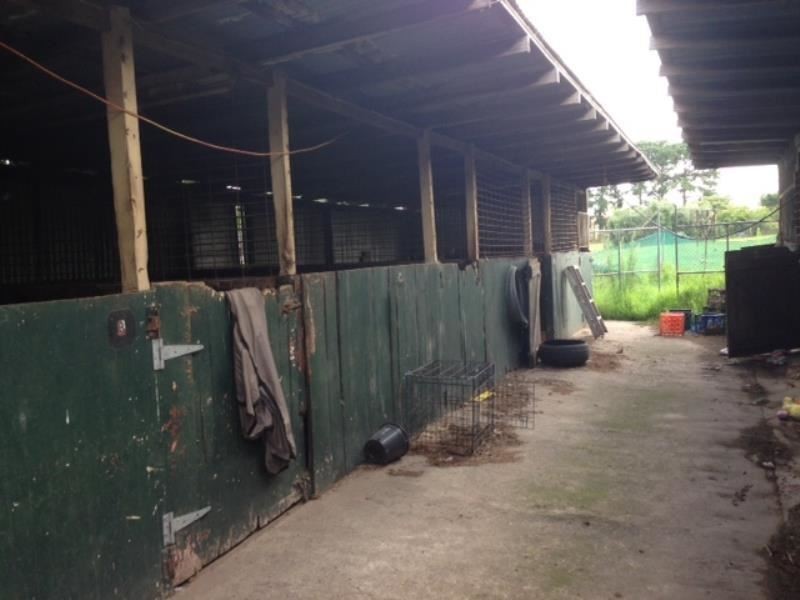 1 TABER STREET, Menangle Park NSW 2563