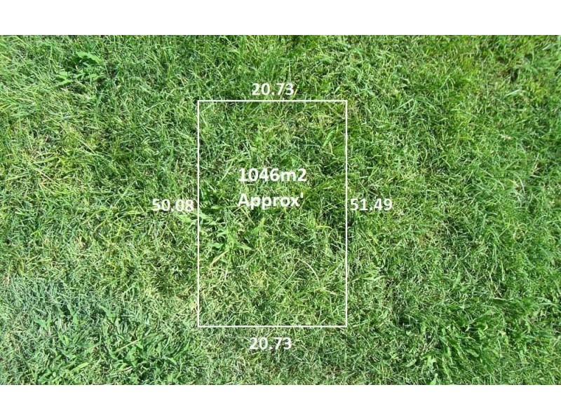 19A Myrtle Crescent, Ferntree Gully VIC 3156