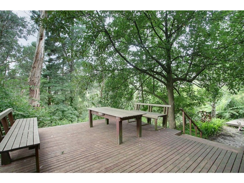 10 Toorak Avenue, The Basin VIC 3154