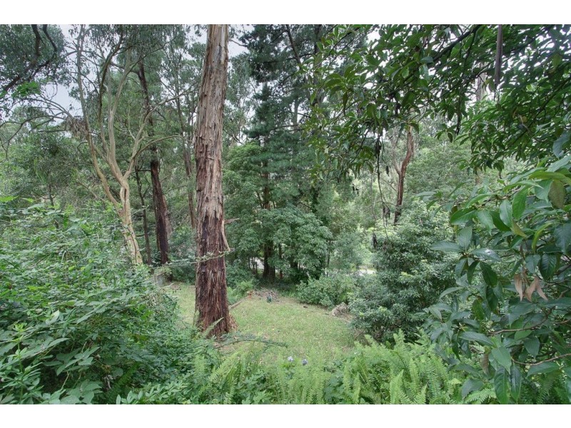 10 Toorak Avenue, The Basin VIC 3154