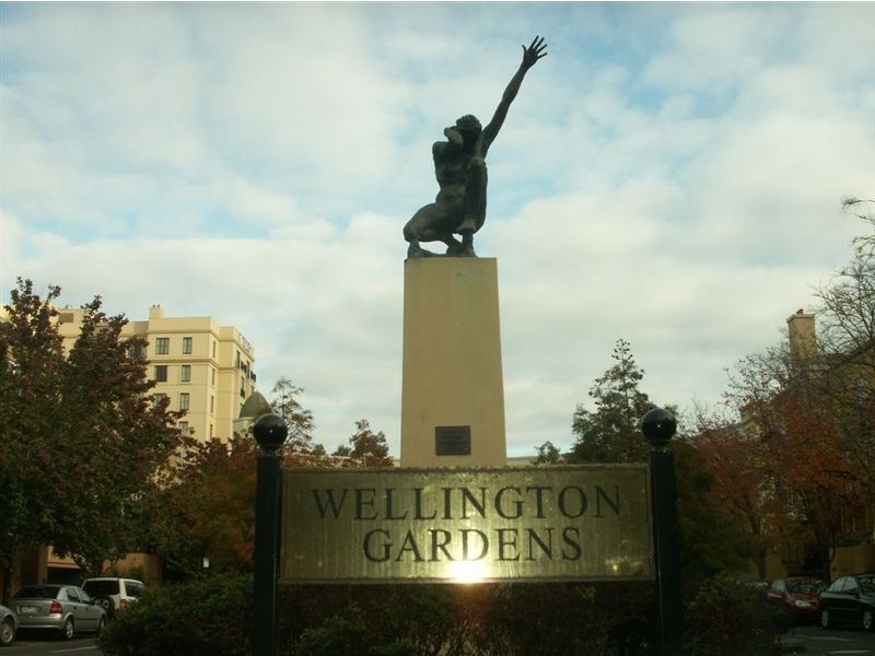 58/1 Wellington Crescent, East Melbourne VIC 3002