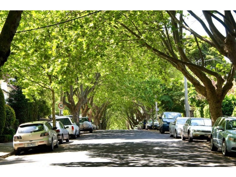 2/45 Caroline Street, South Yarra VIC 3141