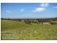 329 Antimony Mine Road, Coimadai VIC 3340