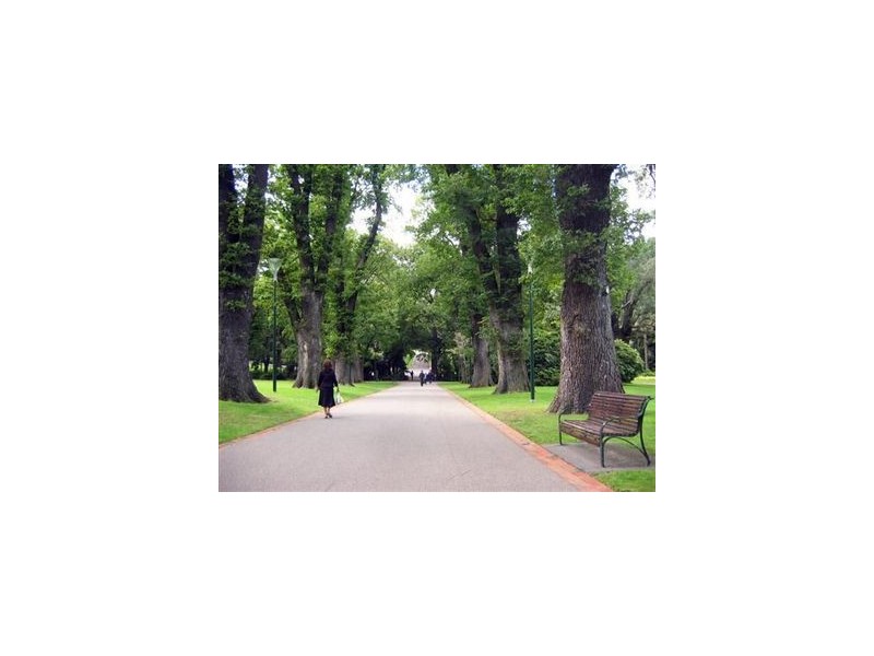 8/25 Hotham Street, East Melbourne VIC 3002