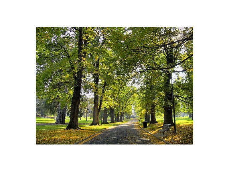 A73/190 Albert Street, East Melbourne VIC 3002