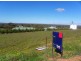 Lot 2 Panorama Crt, Paringa SA 5340