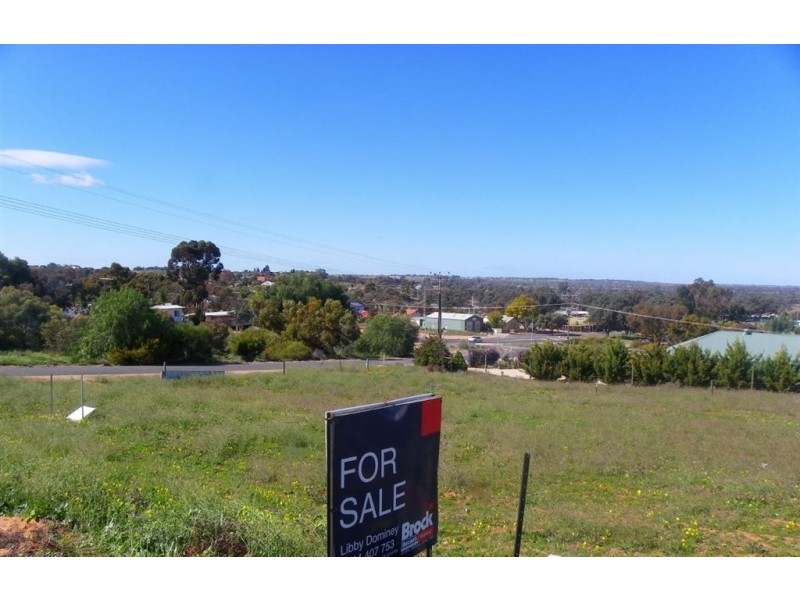 Lot 2 Panorama Crt, Paringa SA 5340