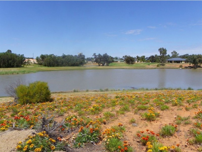4 Nardoo Court, Renmark SA 5341