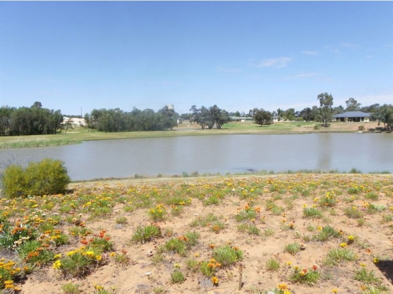 4 Nardoo Court, Renmark SA 5341