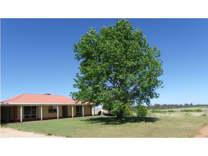 Sect 487 Bottom Road, Glossop SA 5344