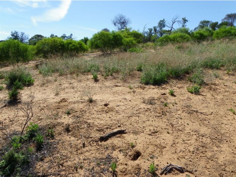 Lot 50 Wheatley Road, Loxton SA 5333