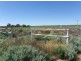 Lot 20 Hogg Raod, Moorook SA 5332