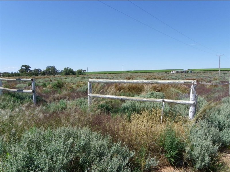 Lot 20 Hogg Raod, Moorook SA 5332