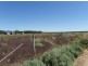 Lot 20 Hogg Raod, Moorook SA 5332