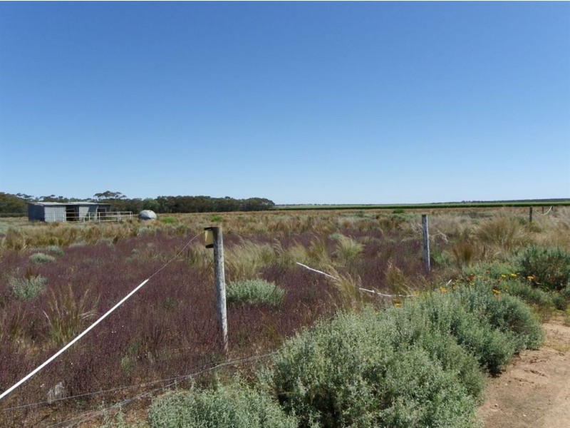 Lot 20 Hogg Raod, Moorook SA 5332