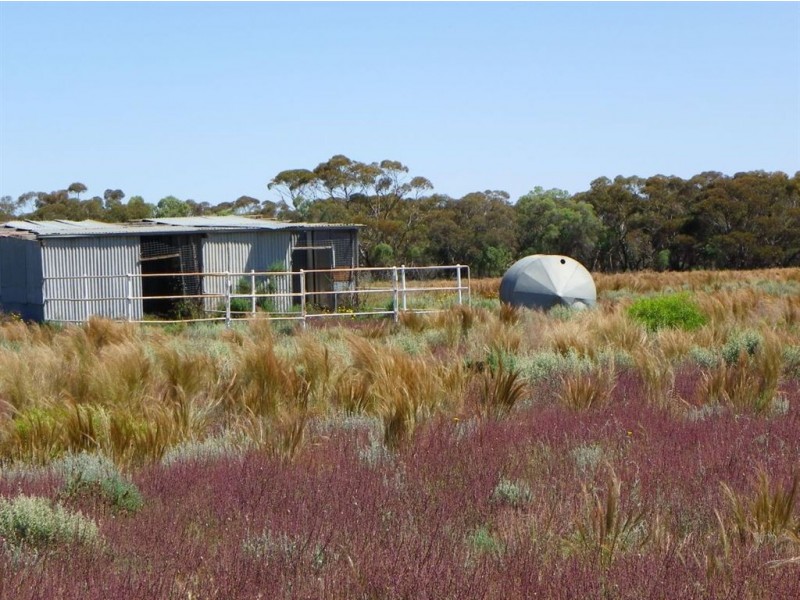 Lot 20 Hogg Raod, Moorook SA 5332