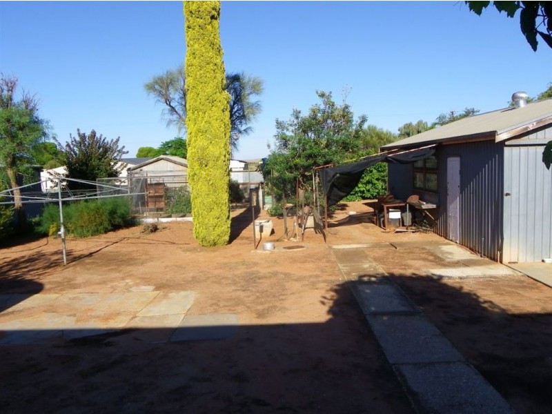 52 Colin Street, Loxton SA 5333