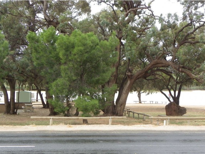 6E Kingston Rd, Moorook SA 5332