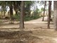 Sec 295 DeFontenay Rd, Barmera SA 5345