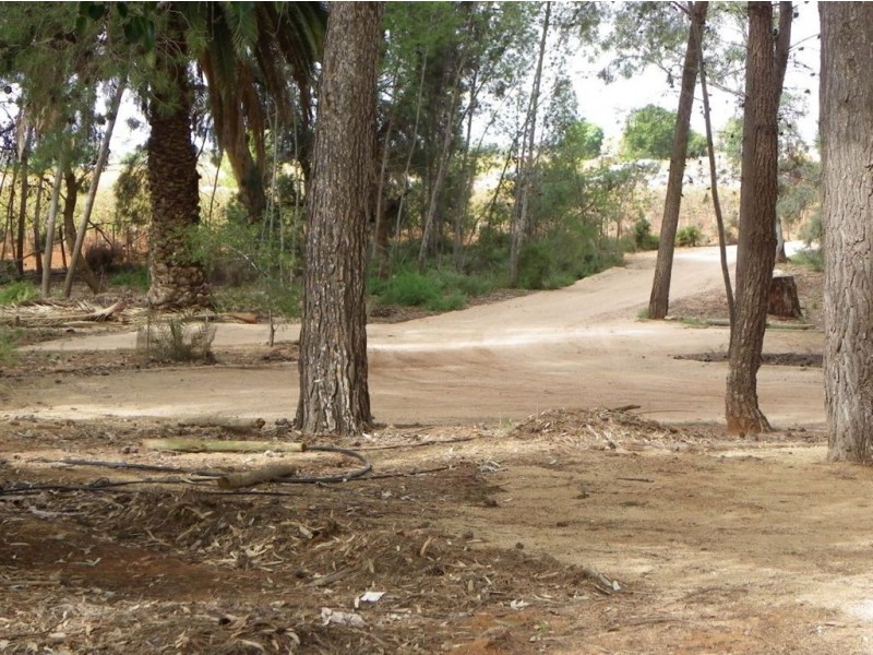 Sec 295 DeFontenay Rd, Barmera SA 5345