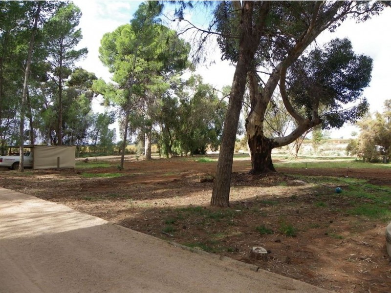 Sec 295 DeFontenay Rd, Barmera SA 5345