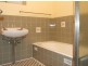 6 Collins St, Barmera SA 5345