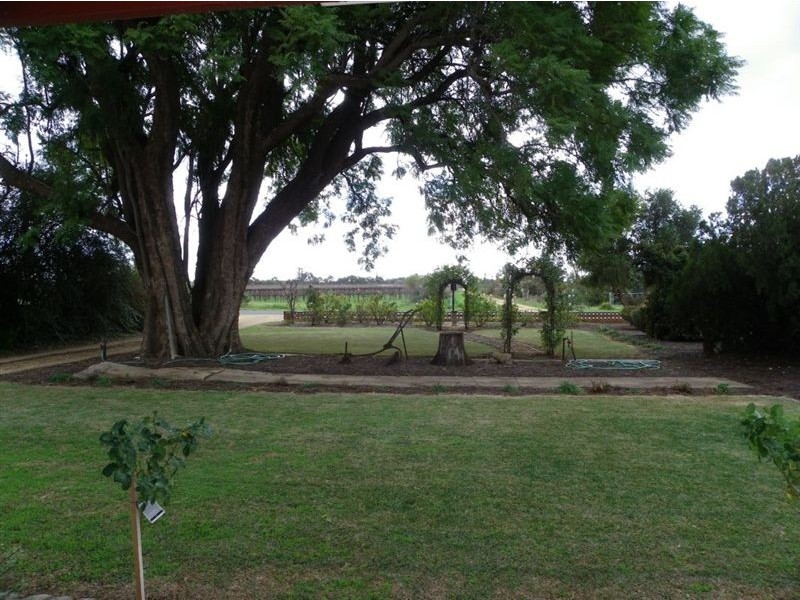 Section 93 Vasey Road., Waikerie SA 5330