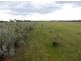 Section 93 Vasey Road., Waikerie SA 5330