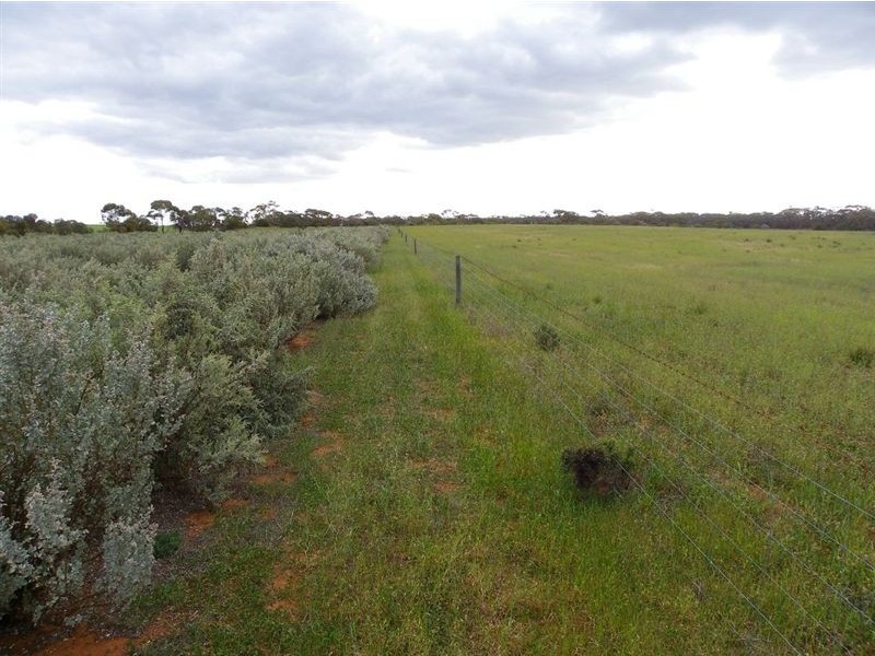 Section 93 Vasey Road., Waikerie SA 5330