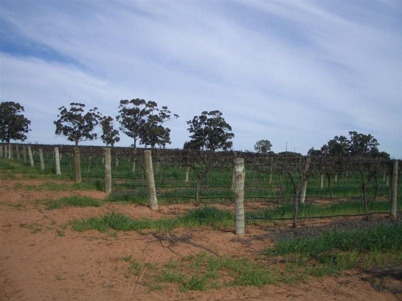 Section 93 Vasey Road., Waikerie SA 5330