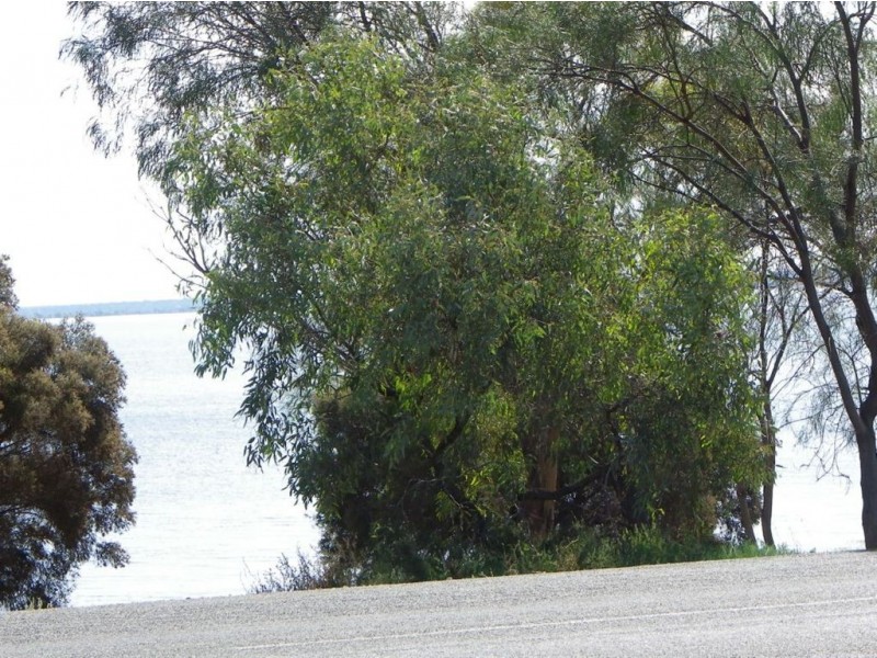 25 Queen Elizabeth Dr, Barmera SA 5345