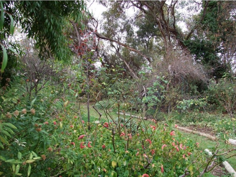 7 Berriview Court, Berri SA 5343