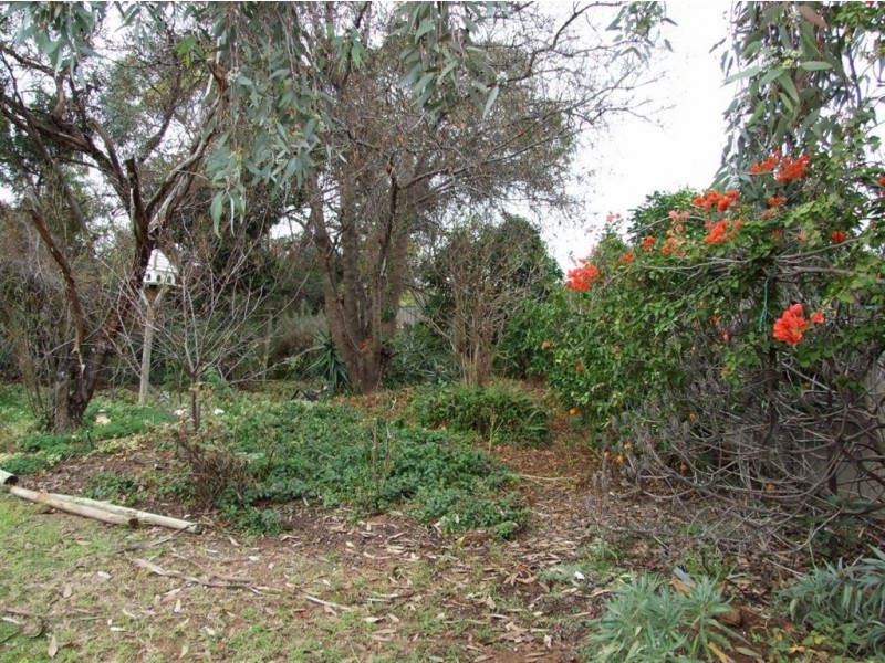 7 Berriview Court, Berri SA 5343