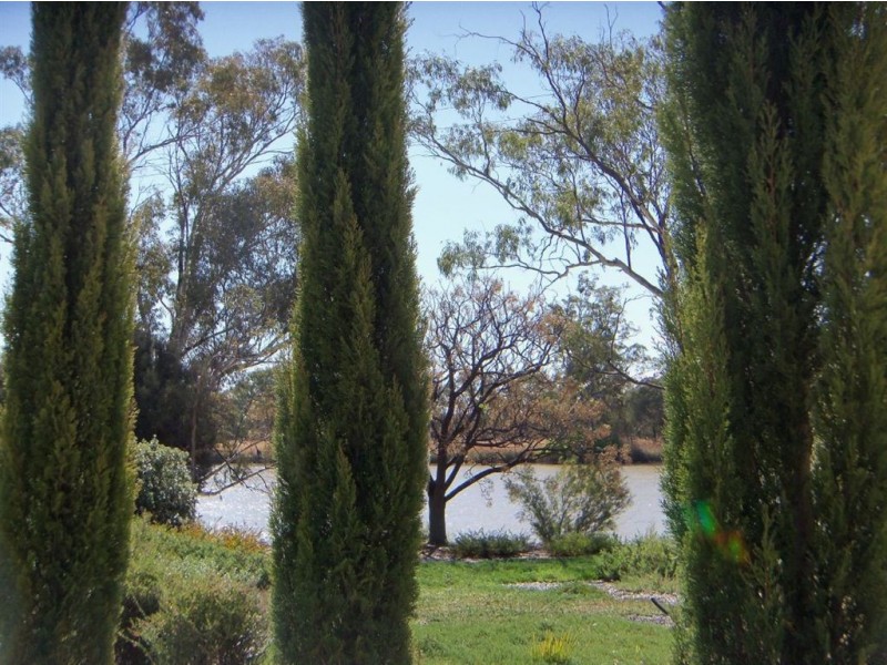 225 Gurra Road, Lyrup SA 5343