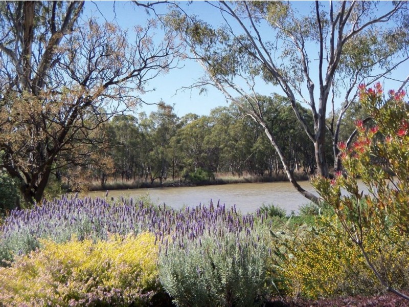 225 Gurra Road, Lyrup SA 5343