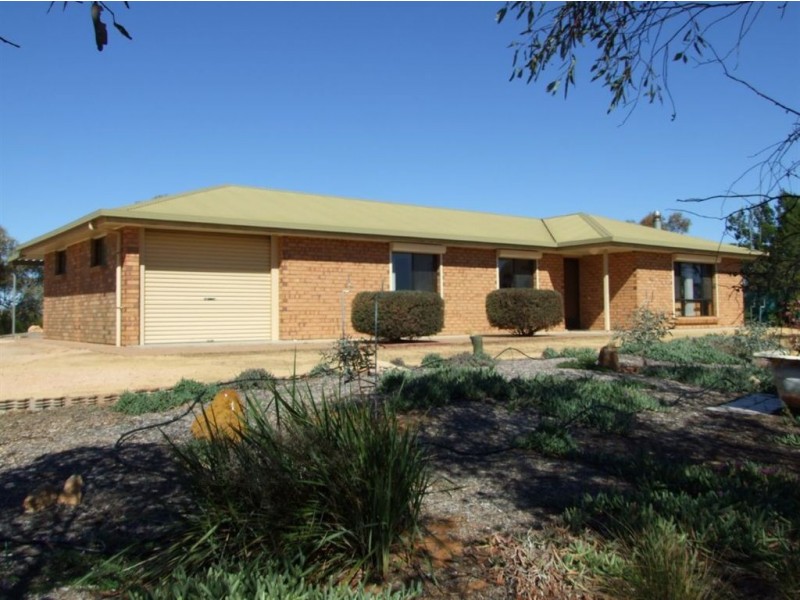 191 Spendiff Road, Winkie SA 5343