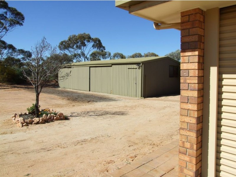 191 Spendiff Road, Winkie SA 5343