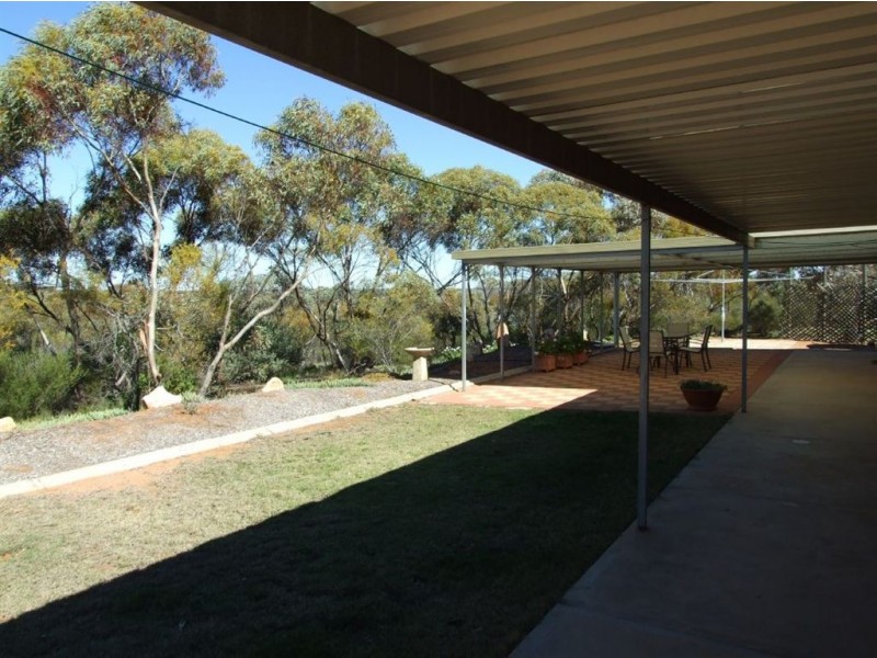 191 Spendiff Road, Winkie SA 5343