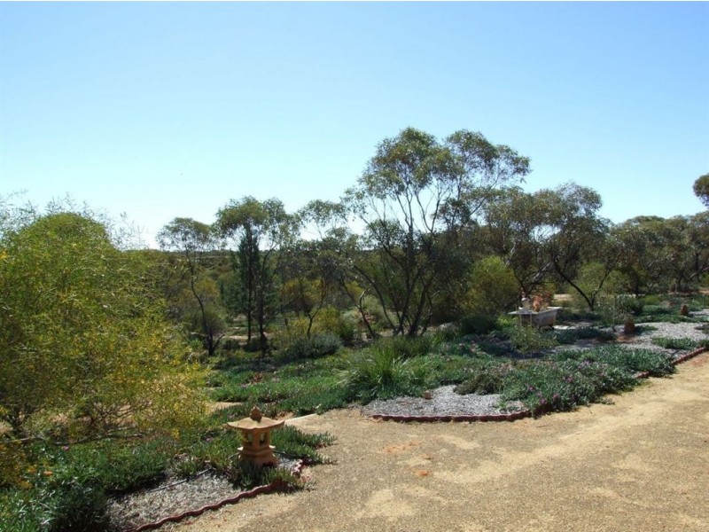 191 Spendiff Road, Winkie SA 5343