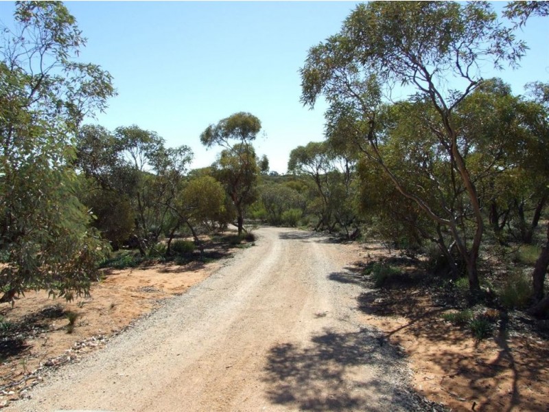 191 Spendiff Road, Winkie SA 5343