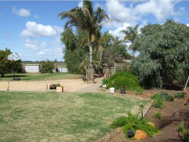 82 Gaskell Road, Barmera SA 5345