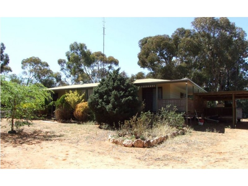503 Caddy Road, Loveday SA 5345