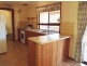 503 Caddy Road, Loveday SA 5345