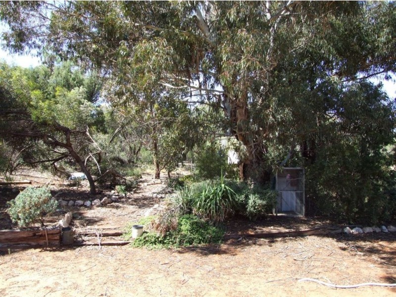 503 Caddy Road, Loveday SA 5345