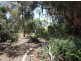 503 Caddy Road, Loveday SA 5345