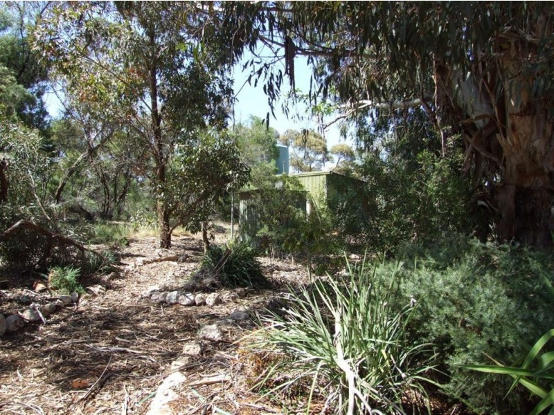 503 Caddy Road, Loveday SA 5345