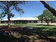 3 Bawden Road, Barmera SA 5345